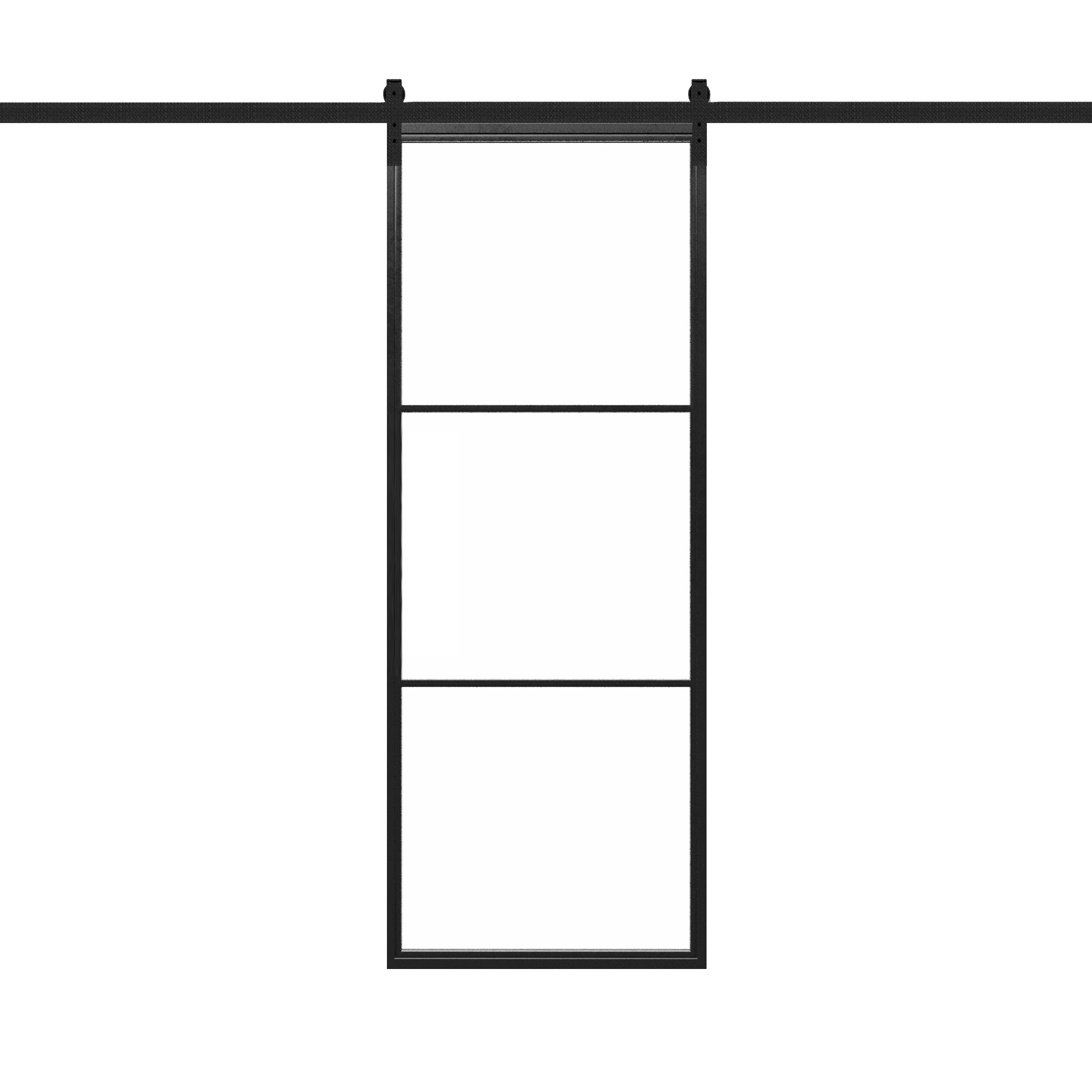 Steel Metal Glass Barn Door