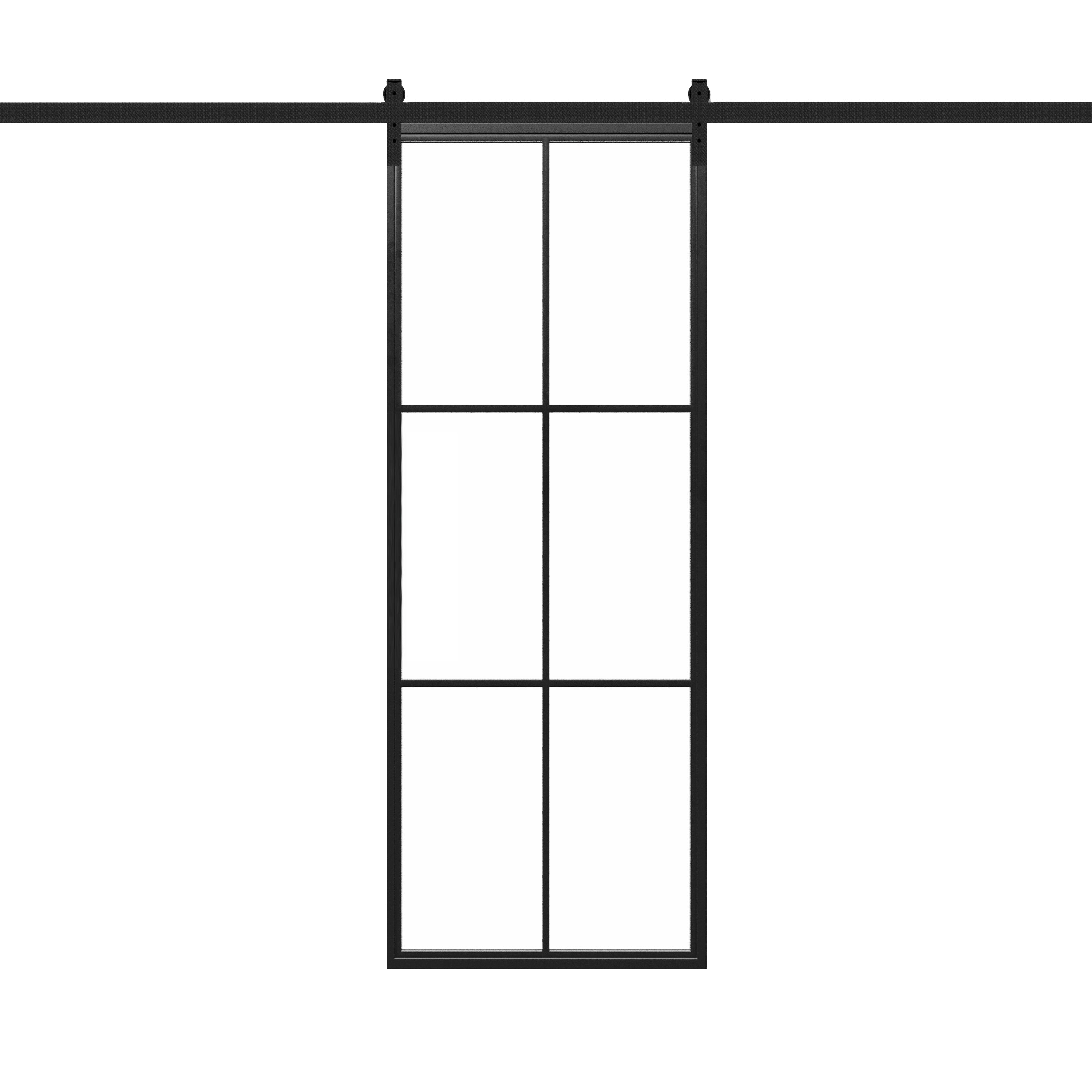 Steel Metal Glass Barn Door